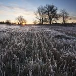 article image - 